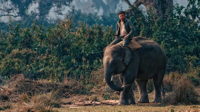 6 Days Nepal Tour With Chitwan National Park - Exclusions to Consider