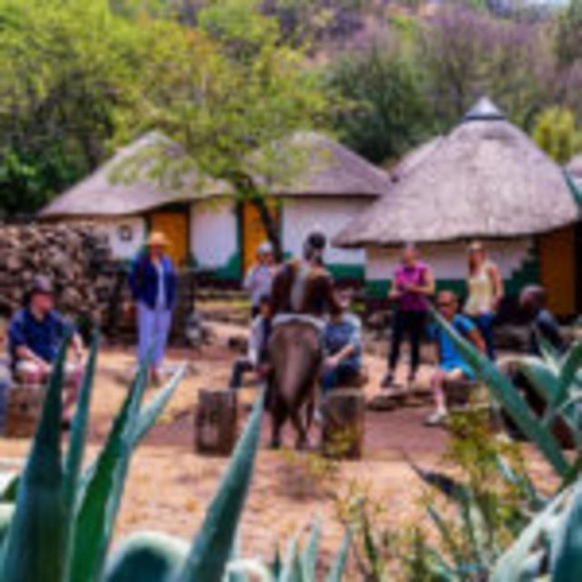 6 Days of The Best of Johannesburg Experience - Cradle of Humankind and Gardens