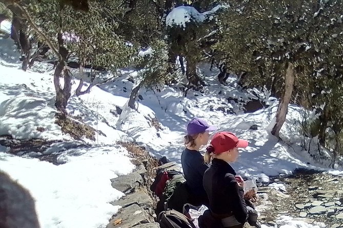 6 Days Poon Hill - Ghandruk Circuit Trek From Kathmandu - Accommodation Options