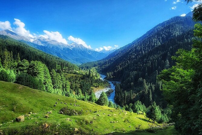 6 Days Private Tour in Kashmir - Daily Itinerary