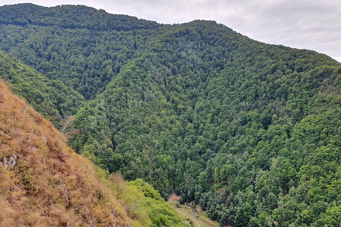 6 Days Private Tour in Romania Spectacular Places From Bucharest - Pricing Details