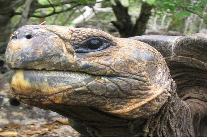 6-Days Quito & Galapagos Basic - Booking and Confirmation