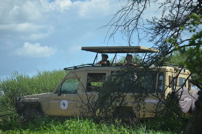 6 Days Tanzania Budget Safari - Day-by-Day Activities