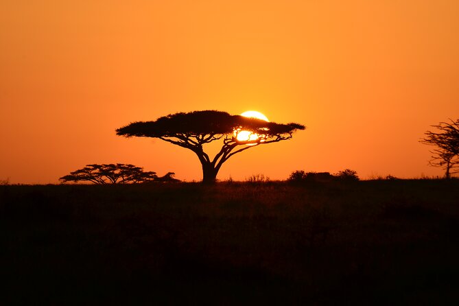 6 Days Tanzania Budget Safari - Tips for a Successful Trip