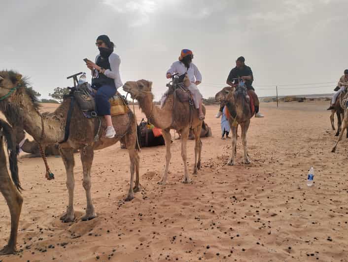 6 Days Tour From Casablanca To Fes, Via Marrakech & Desert - Included Services