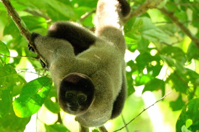 6 Days Tour in Manu National Park / Cusco - Puerto Maldonado - Pricing and Cancellation