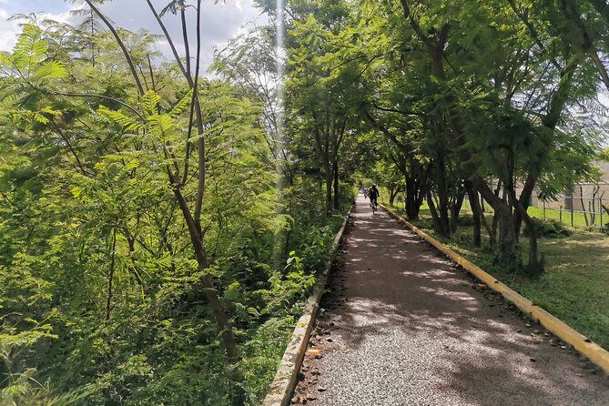 6-Hour Bike Tour From Oaxaca to the Tule Tree - Traveler Reviews and Feedback