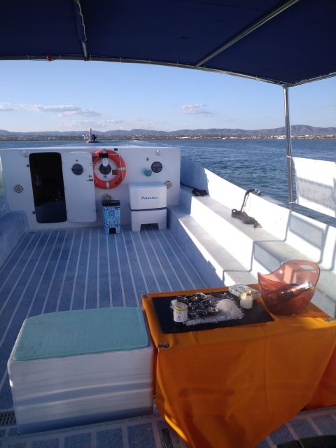 6 Hour Classic Boat Cruise, Ria Formosa Natural Park, Olhão. - Ria Formosa Wildlife Viewing