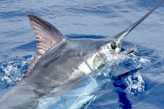 6 Hour Fishing Charter - Overview of the Charter