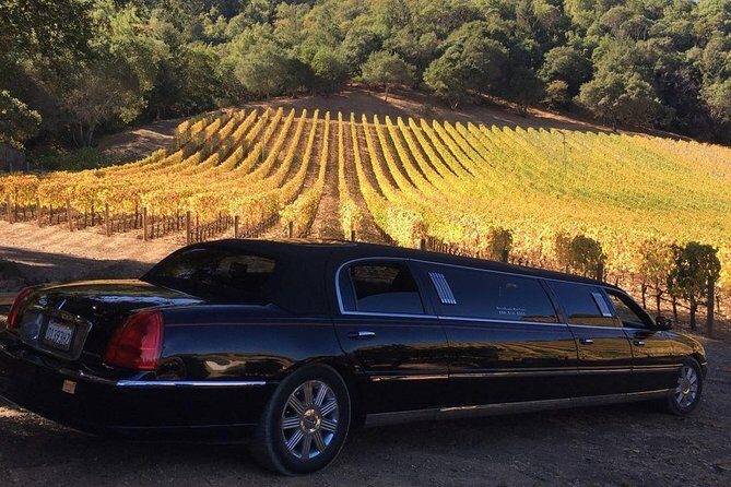 6-Hour Luxury Napa Wine Tasting Tour with Route Planning - A Guide to the 6-Hour Luxury Napa Wine Tasting Tour with Route Planning
