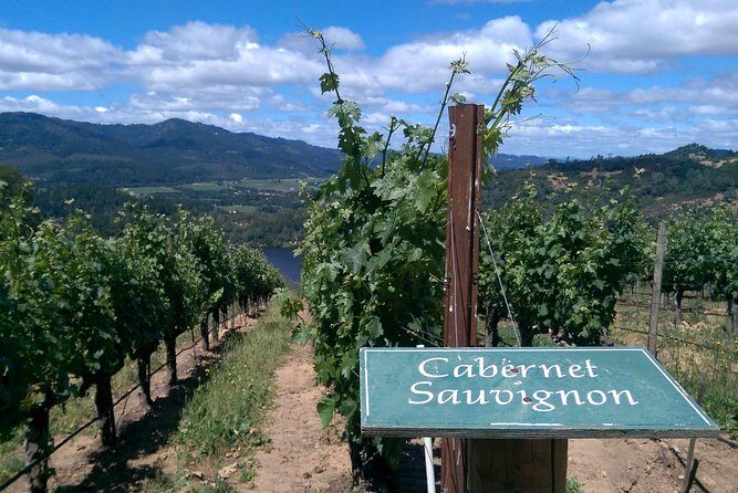 6 Hour Napa or Sonoma Wine Tour in Private Limousine - The Sum Up: Who Will Love This Tour?