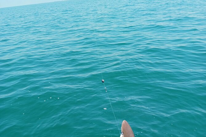 6 Hour Private Fishing Tour in Sarasota With Master Captain Bill - What to Expect on the Tour
