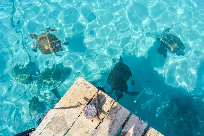 6 Hour Private Guided Tour Beyond the Beaches of Curacao - How to Book Your Tour