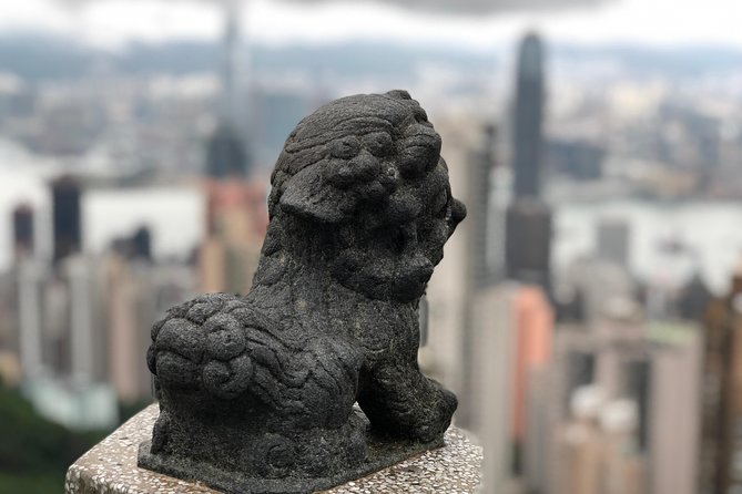 6-Hour Private Hong Kong Layover Tour - Accessibility and Requirements