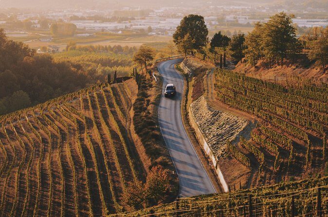 6-hour Private Luxury SUV Wine Tour in Napa Or Sonoma Valley - Authentic Experiences and Testimonials