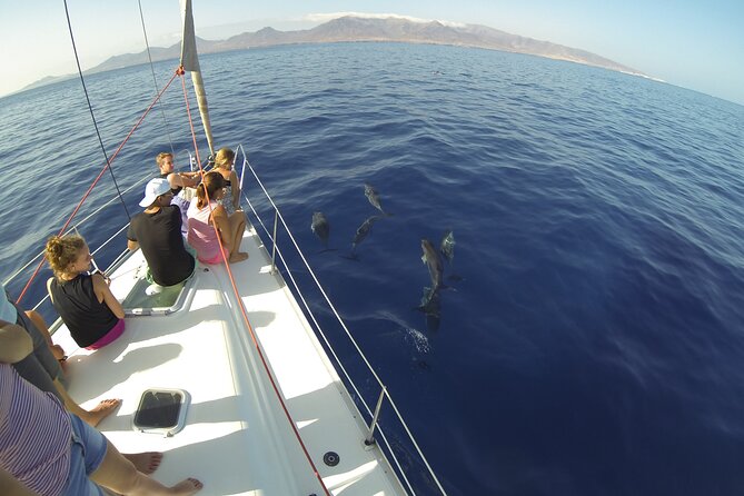 6-Hour Private Sailing Trips From Heraklion to Island of Dia - Customer Review Highlights