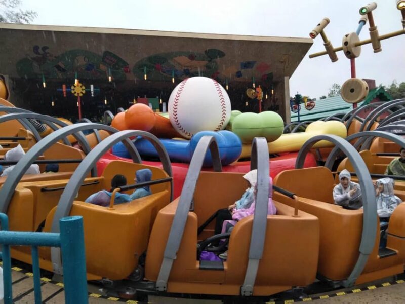 6 Hour Private Tour in Disneyland - Good To Know