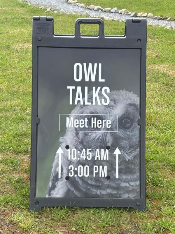 6 hour Private Tour of Vancouver & North Vancouver - Final Thoughts: Who Will Love This Tour?