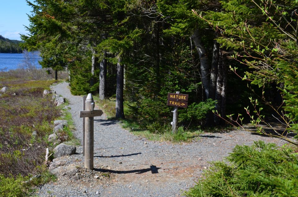 6 Hour Private Tour: Ultimate Acadia Tour With Lobster Lunch - Pickup and Transportation Details