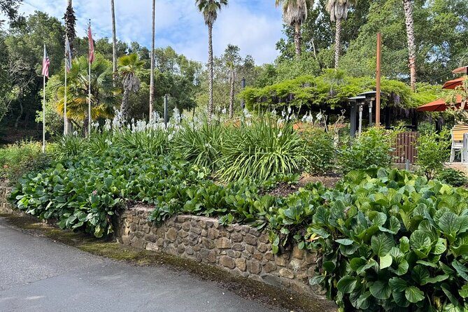 6 Hour Sonoma Boutique Wine Tour-Private Black Car,up to 6 Guests - The Experience: A Deep Dive into the Sonoma Private Wine Tour  