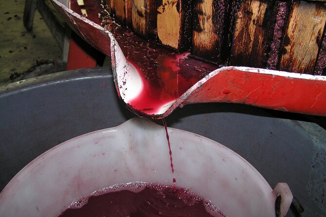 6 Hour Sonoma Pinot Noir and or Zinfandel Wine Tasting Tour - Health and Safety Measures