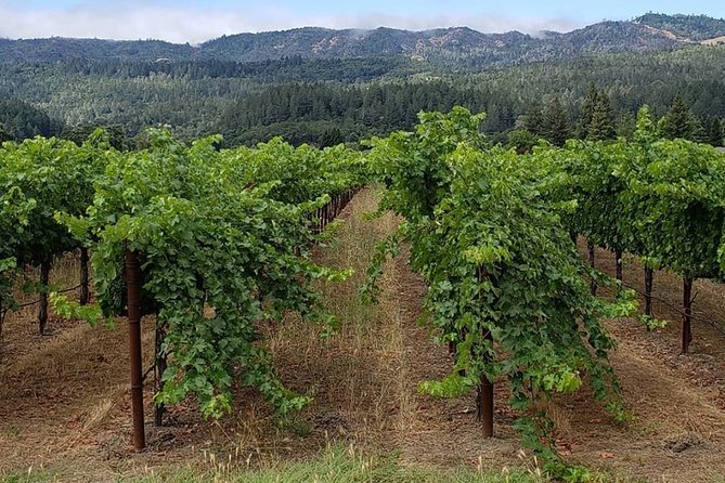 6 Hour Sonoma Wine Tasting Tour From San Francisco - Inclusions and Exclusions