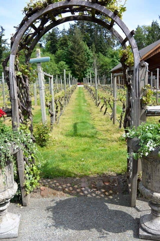 6-Hour Victoria to Cowichan Wine Tour - Authentic Experiences and Honest Opinions