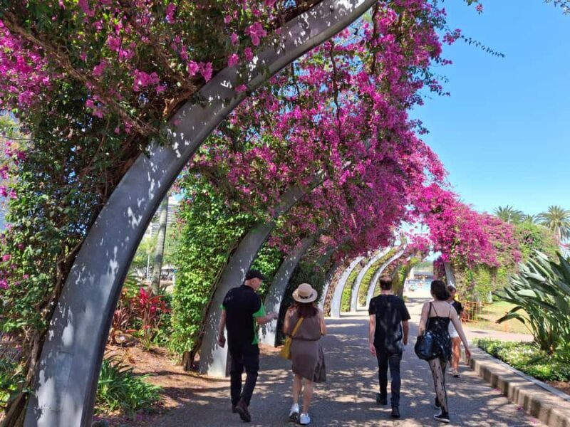 6 Hour Welcome to Brisbane Private Sightseeing Private Tour - Key Points