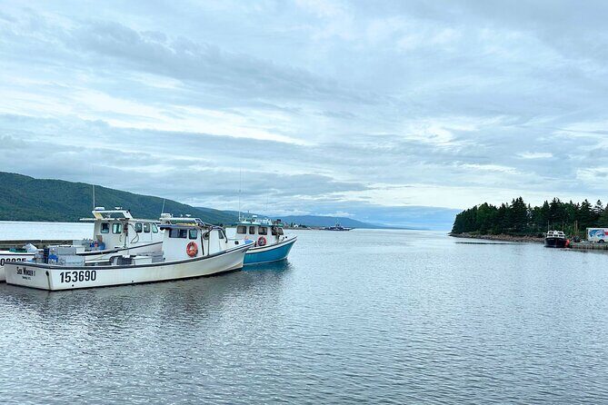 6 Hours Cabot Trail, Keltic Lodge and Ingonish Sights Tour - The Experience: Transportation, Timing, and Group Size