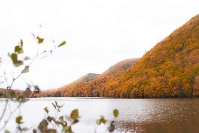 6 Hours Cabot Trail, Keltic Lodge and Ingonish Sights Tour - Authenticity and Local Storytelling