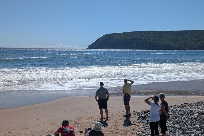 6 Hours Cabot Trail, Keltic Lodge and Ingonish Sights Tour - Who Is This Tour Best For?