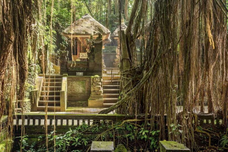 6 Hours Car Charter for Ubud Day Tour - Key Points