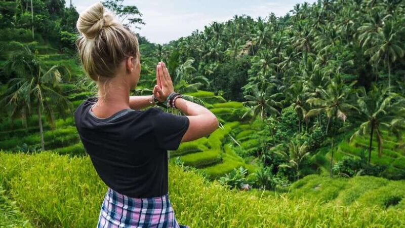 6 Hours Car Charter for Ubud Day Tour - Why Choose a 6-Hour Ubud Day Tour?