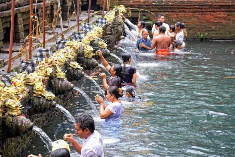 6 Hours Car Charter for Ubud Day Tour - The Practicalities: What You Need to Know