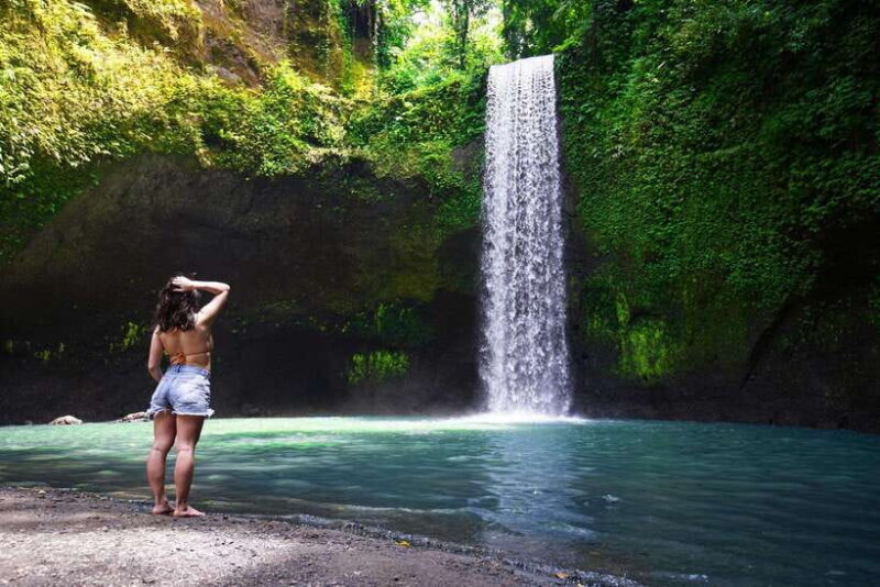 6 Hours Car Charter for Ubud Day Tour - Final Thoughts: Who Will Love This Tour?