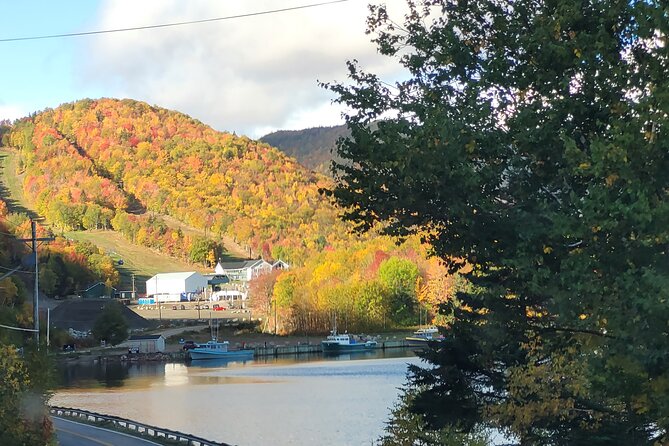 6 Hours Mini Cabot Trail Tour - Good To Know