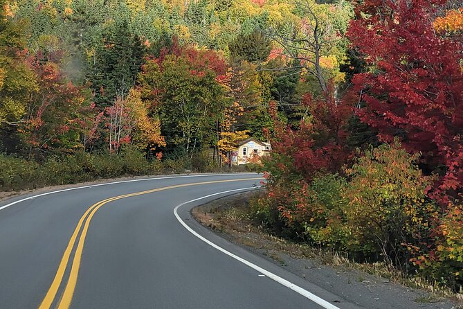 6 Hours Mini Cabot Trail Tour - Inclusions and Accessibility