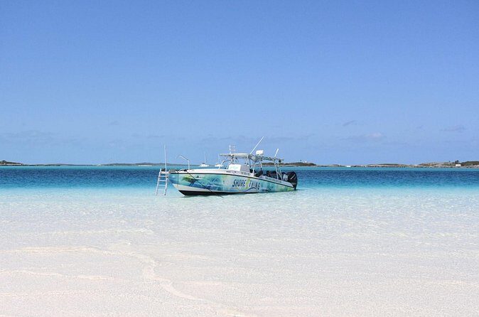 6 Hours Rose Island Tour with Snorkeling Experience and Lunch - The Sum Up: Is It Worth It?
