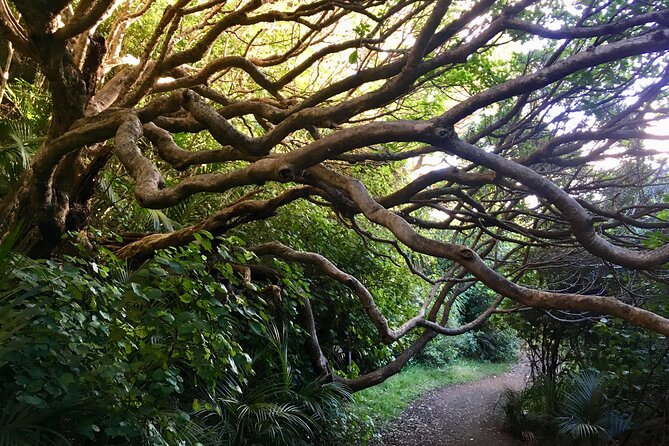 6 Hours Sightseeing Tour in Auckland - Pricing and Cancellation