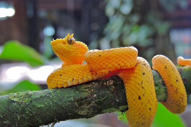 6 in 1 RainForest Adventure From San Jose - Health and Safety Information