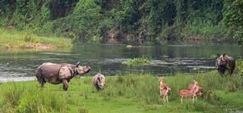 6 night 7 days Kathmandu Pokhara Chitwan Tour - Exploring Kathmandu: The Heartbeat of Nepal