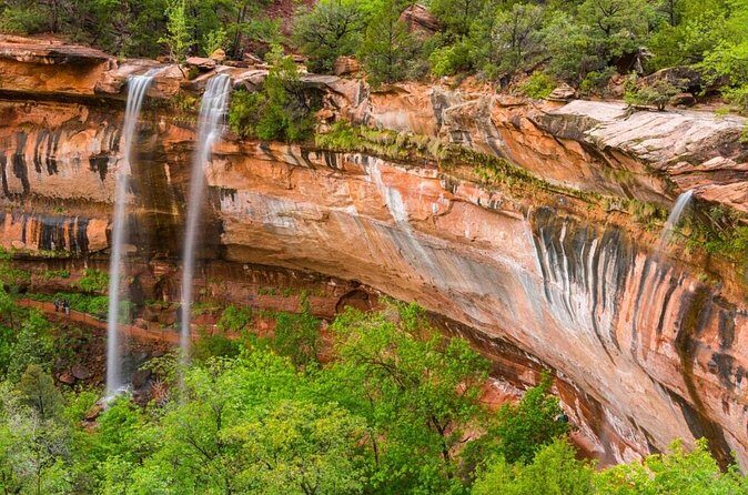 6 Night Yellowstone, Zion, and Bryce Vacation with lodging - Authenticity and Traveler Experience