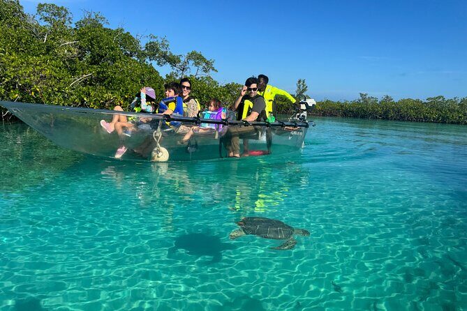 6-Passenger Motorized Clear Kayak Mangrove Tour in Providenciales - Introduction