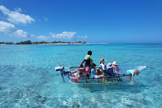 6-Passenger Motorized Clear Kayak Mangrove Tour in Providenciales - Authentic Feedback from Guests