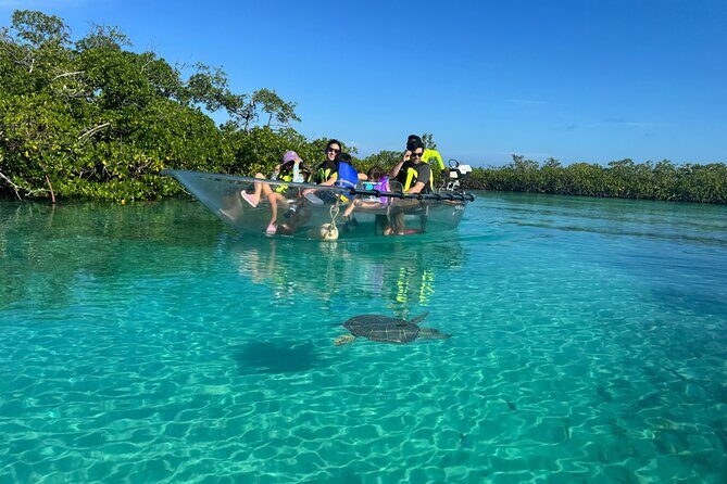 6-Passenger Motorized Clear Kayak Mangrove Tour in Providenciales - Who Should Consider This Tour?