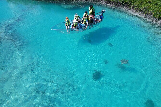 6-Passenger Motorized Clear Kayak Mangrove Tour in Providenciales - The Sum Up