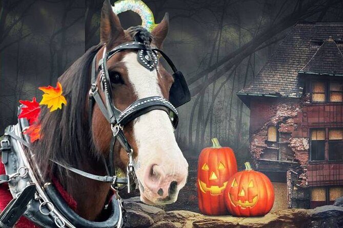 60-minute Haunted Halloween Tour - A Detailed Look at the Haunted Carriage Tour