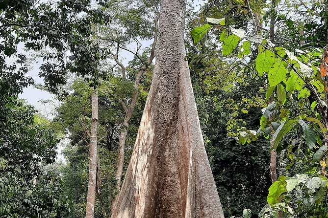 6D/5N Offbeat Walking Holiday in South and Middle Andamans - Detailed Itinerary