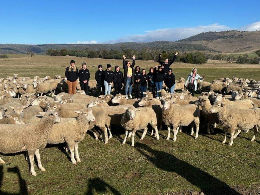 6D5N Tasmania Unveiled: Discovering Icons and Hidden Gems - Inclusions and Exclusions
