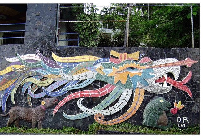 6Hr Cruisers or Hotels High Diver Peace Chapel BabyTurtleRelease - Frequently Asked Questions